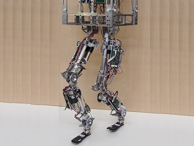 Humanoid Robotics